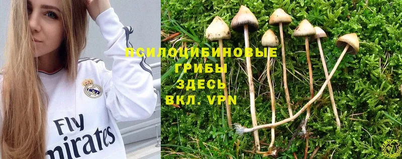 Псилоцибиновые грибы Magic Shrooms  где можно купить   Корсаков 